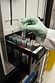 Bio Threats- FDA's A-Team (6326) (9807017045)