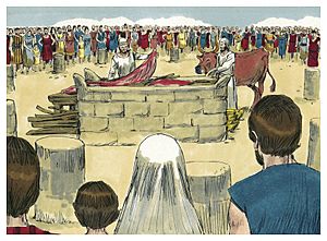 Book of Leviticus Chapter 1-1 (Bible Illustrations by Sweet Media).jpg