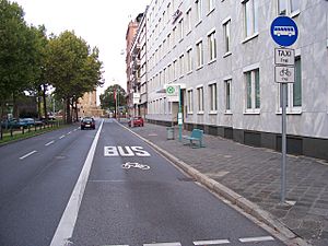 Archivo:Busspur und Haltestelle in Mannheim 100 9128