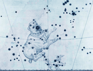 Archivo:Canis Major