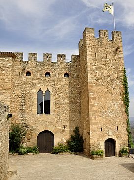 Castell de Montsonís-b.jpg