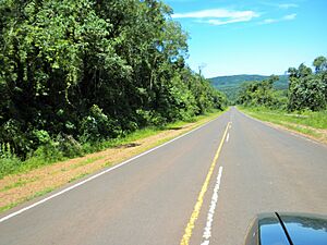 Archivo:Colonia Alberdi (Misiones, Argentina) - Ruta Provincial 6, Provincia de Misiones