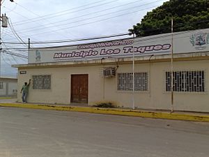 Archivo:Concejo Municipal del municipio Los Taques