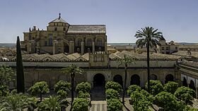 Cordoba Cathedral 2024 - Overview.jpg