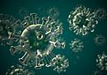 Corona virus Covid-19 FC