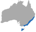 Dusky Antechinus area