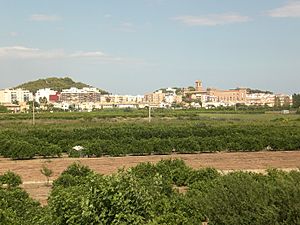 Archivo:Elpuigvalencia