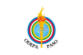 Flag of PASO