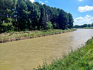 Archivo:Fontellas - El Bocal, Canal Imperial de Aragón 09