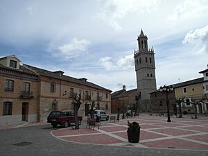 Archivo:FuentesDeNava20100116230232SAM 2444