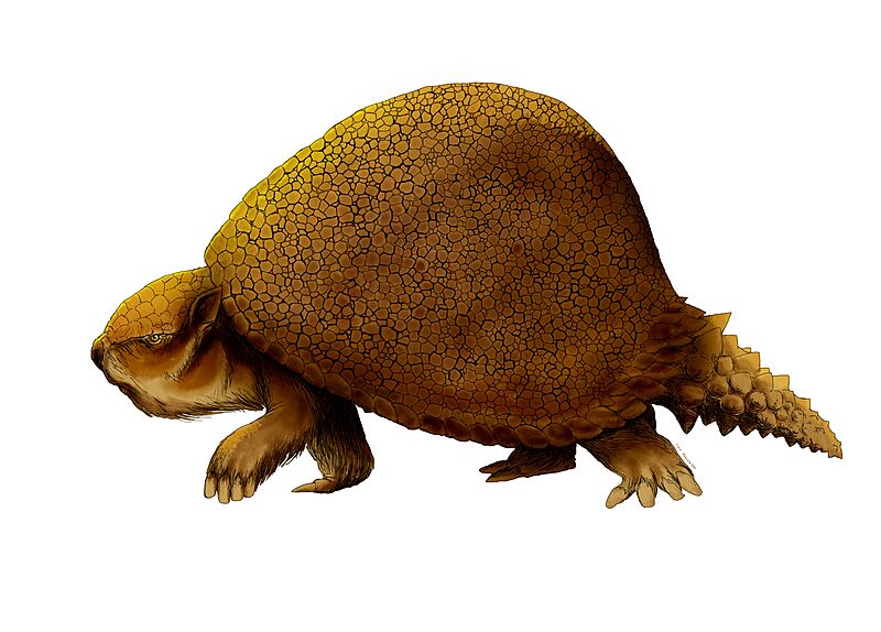 GLYPTODON