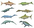 Ichthyosaurios5