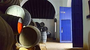Archivo:Interior de la Bodega San León