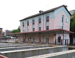 Archivo:LaFelguera Estación