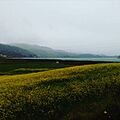 Lago de Tota Flores
