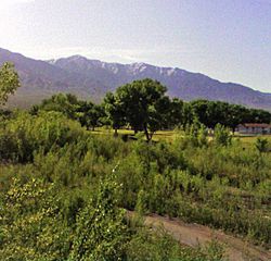 Littlefield, Arizona.jpg