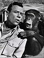 Marshall Thompson and Judy Daktari 1966