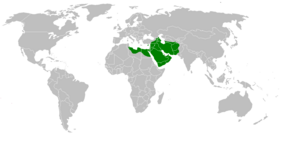 Archivo:Mohammad adil rais-rashidun empire-at-its peak