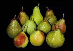 More pears.jpg