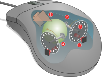 Archivo:Mouse mechanism diagram