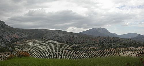 Archivo:Otiñar Cerro Fronton Panoramica