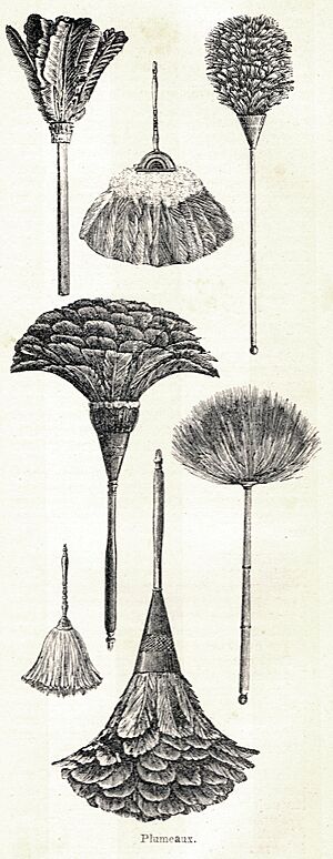 Archivo:Plumeau