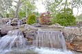 Red Maple Rill