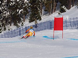 Archivo:Robbie Dixon at the 2010 Winter Olympic downhill