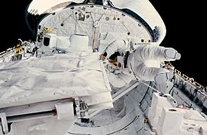 Archivo:STS-41-G Sullivan checks SIR-B antenna latch