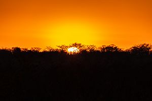 Archivo:Salida del sol, parque nacional Kruger, Sudáfrica, 2018-07-26, DD 01
