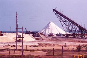 Archivo:Salinas de Manaure