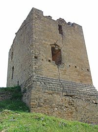 Archivo:San Vicente de la Sonsierra - Castillo 055