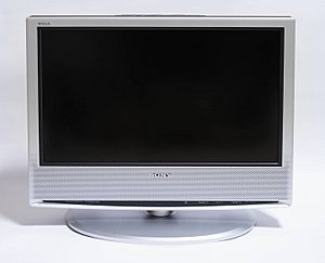 Las mejores ofertas en Compuesto RCA 16:9 monitores de computadora con altavoces  integrados