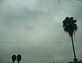 Stratus nebulosus opacus and Stratus fractus (14122021)