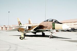 Archivo:US F-14 painted like an Iranian fighter