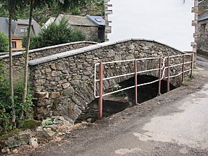 Archivo:Vegapujín. Puente Romano.