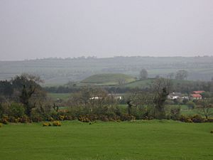 View of Dowth.jpg
