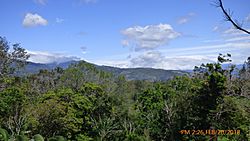Vista Panoramica desde una finca en Palmira.jpg
