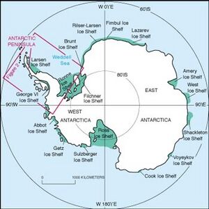 Archivo:Wordie Ice Shelf location - Antarctica