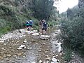 2020-07-12 Corredors travessant el riu Carbo