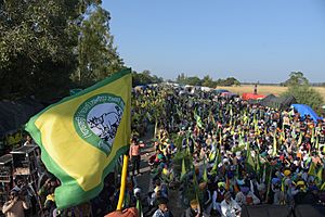 2020 Indian farmers' protest - sitting protest.jpg