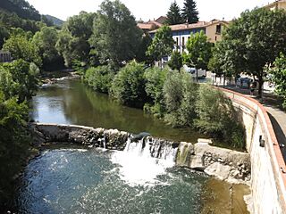 362 Resclosa de l'Arquet, al Freser (Ripoll), des del pont del Raval de Barcelona.jpg