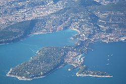 Aerial view of Saint-Jean-Cap-Ferrat.jpg