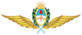 Argentine airforce wings emblem (color)