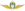 Argentine airforce wings emblem (color).svg