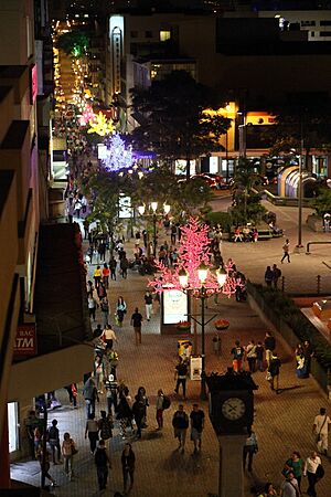 Archivo:Ave Central San Jose Costa Rica 3