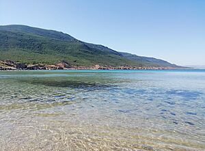 Archivo:Beach in Cap Negro 02