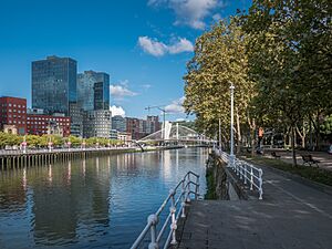 Archivo:Bilbao - Zubizuri 09