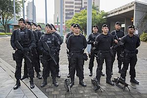 Archivo:COPES Policía Colombia