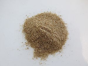 Archivo:Celery Salt, Penzeys Spices, Arlington Heights MA